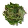 Spinach Sharp 长苋菜 (切)