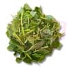 Spinach Round 圆苋菜 (切)