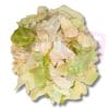 Cabbage Round  中国包菜 (切小)