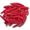 Red Chilli Padi 小红辣椒