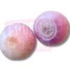 Red Big Onion 大葱头 (去皮)