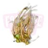 Coriander Root 泰国芫荽根