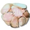 King Oyster Mushroom 杏鲍菇 (切)