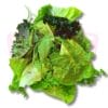Mixed Salad V Rocket 沙拉杂菜