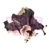 DRY BLACK FUNGUS 干木耳